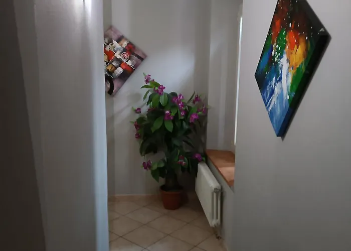 Apartment Il Mio Parma